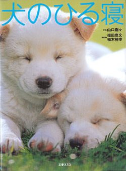 画像1: 犬のひる寝　　写真=福田豊文・植木裕幸／文=山口樹々