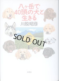 画像1: 八ヶ岳で40頭の犬と生きる　　川股昭彦