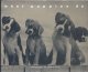 What puppies do      写真=Sharon Beals 　（洋書）