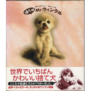 画像: ★再入荷★　ぼくはMr.ウィンクル　〜Winkle's world〜　　　ララ・ジョー・レーガン