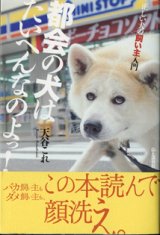 画像: 都会の犬はたいへんなのよっ！　　正しい犬の飼い主入門　　　天谷これ