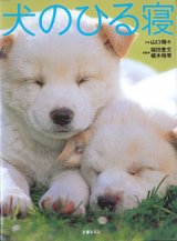 画像: 犬のひる寝　　写真=福田豊文・植木裕幸／文=山口樹々