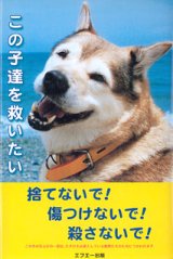 画像: この子達を救いたい　　濱井千恵