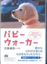 画像: パピーウォーカー　〜盲導犬のたまごと暮らす幸せ〜　　石黒謙吾＝文・写真