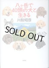 画像: 八ヶ岳で40頭の犬と生きる　　川股昭彦