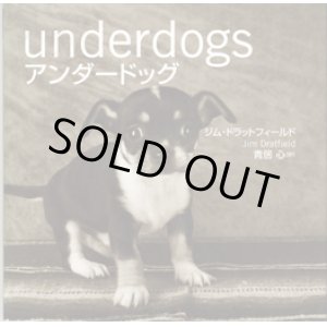 画像: アンダードッグ　（underdogs）　　　ジム・ドラットフィールド（Jim Dratfield） 　　　青居　心＝訳