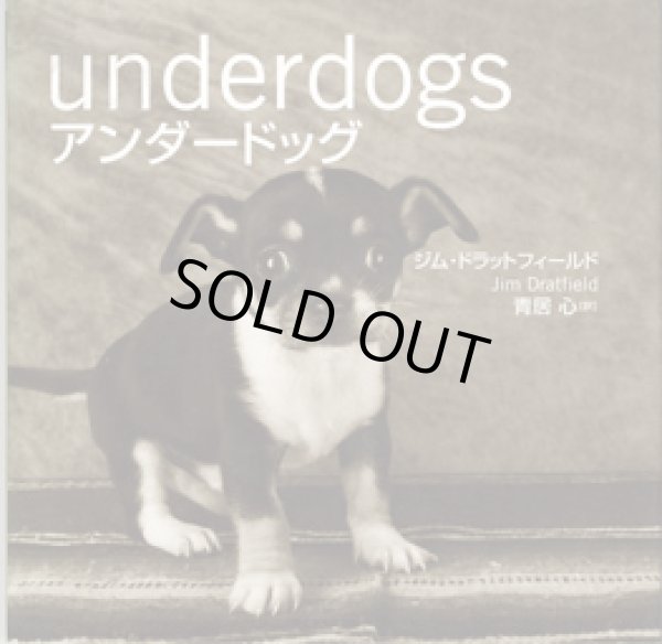 画像1: アンダードッグ　（underdogs）　　　ジム・ドラットフィールド（Jim Dratfield） 　　　青居　心＝訳