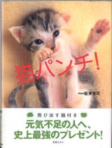 画像: 猫パンチ！　　写真＝板東寛司