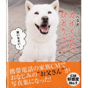 画像: しゃべる犬　カイくんのひとりごと