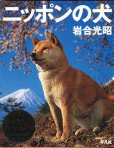 画像: ニッポンの犬　　　岩合光昭　　【大型本】