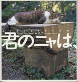 画像: 君のニャは、　　　写真＝八ニ一