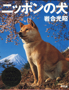 画像1: ニッポンの犬　　　岩合光昭　　【大型本】